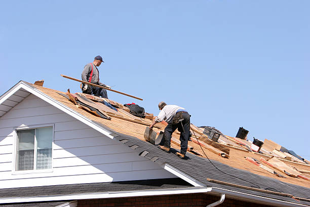 Best Metal Roofing Installation  in USA